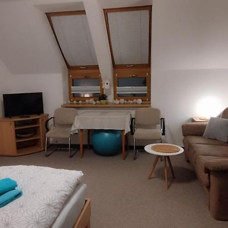 Apartment Bertik Třeboň 외부 사진